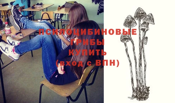 прущие крисы Алзамай